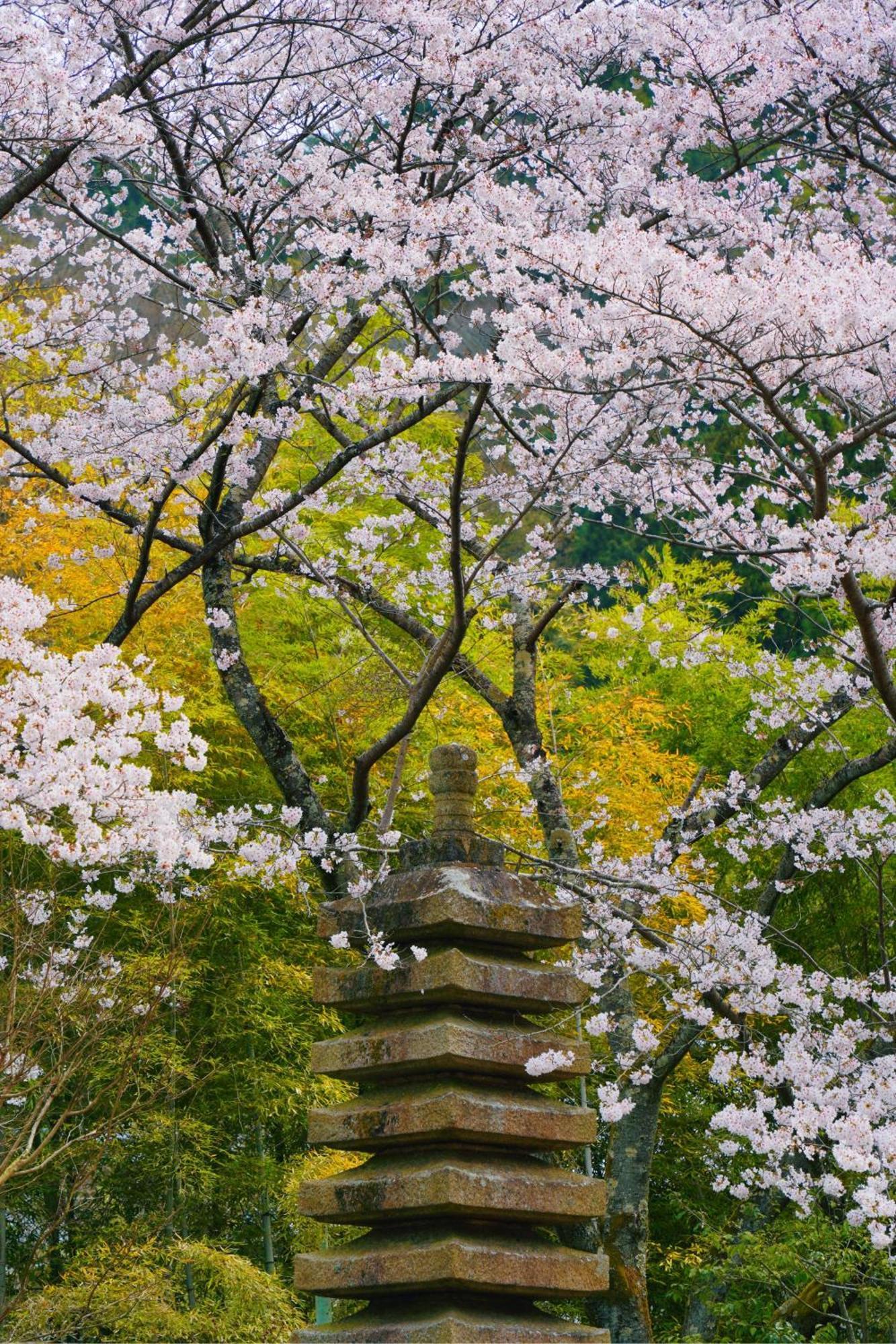 Oukai Villa Izumi Izumi  Eksteriør billede